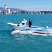 Gozzetto da pesca 30CV diesel