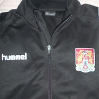 Northampton town fc ntfc giacca inghilterra coppa