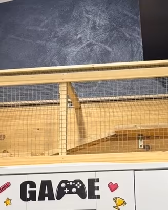 Gabbia criceti Roditori
