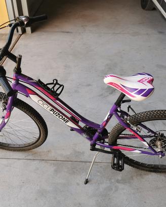 bicicletta 
