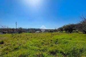 TER. RESIDENZIALE A MANZIANA