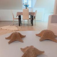 Appartamento a Spoleto (S.G. di Baiano)