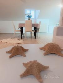 Appartamento a Spoleto (S.G. di Baiano)