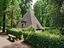 Immagine 25