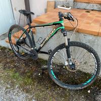 Bottecchia mtb