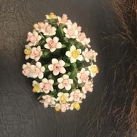 Aiuola fiorita Capodimonte