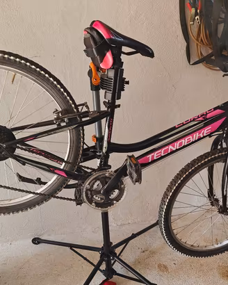bicicletta 24'