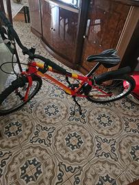 bicicletta