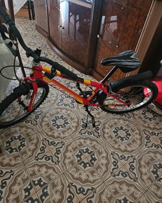 bicicletta