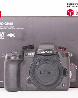 Panasonic Lumix DC-GH5S