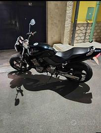 Honda Hornet 600
