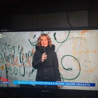 Tv Majestic (22") con Fire TV Stick HD 