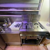 Friggitrice professionale due vasche 12+12 lt