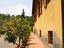 Immagine 8