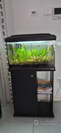 Acquario ferplast 80 litri