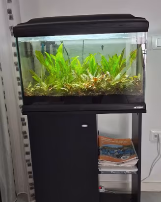 Acquario ferplast 80 litri