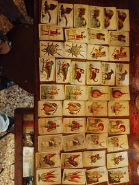 carte mercante in fiera Armanino epoca