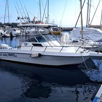 Barca Gio Mare 20.02