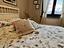 Immagine 14