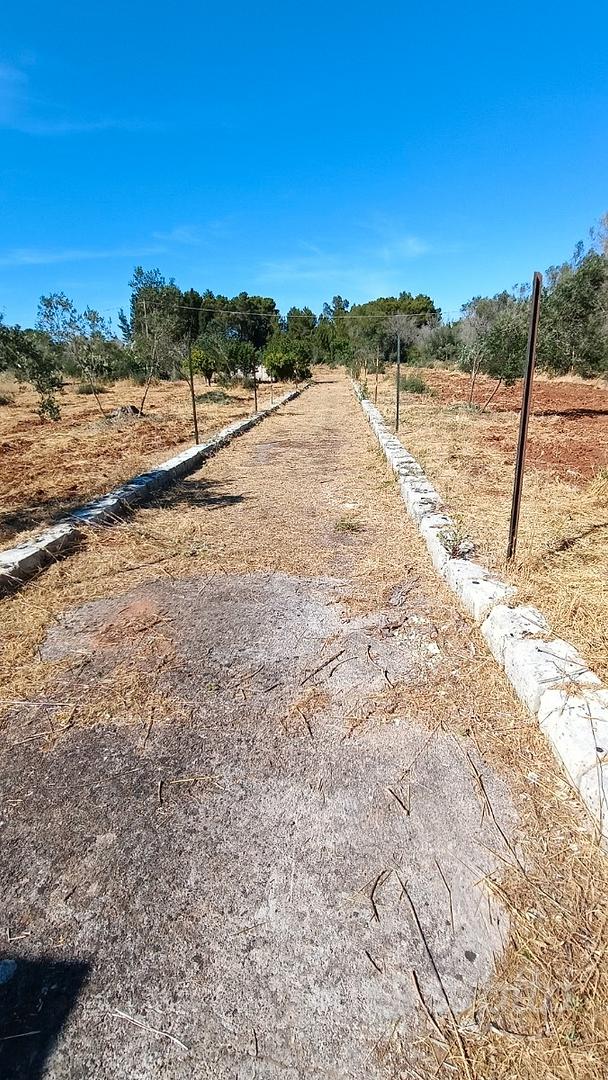 Terreno agricolo - Altro