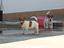 Immagine 3
