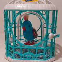 Cocoritos Pappagallino parlante