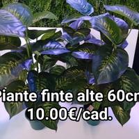 piante finte