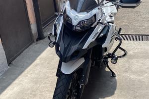 Splendida benelli trk 502 x