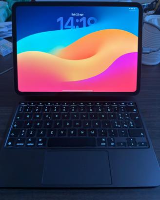 Ipad Pro 11’’ M4 late 24 + magic keyboard + pencil