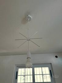 Lampadai