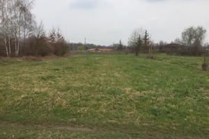 Terreno agricolo in Cascina Mauletta