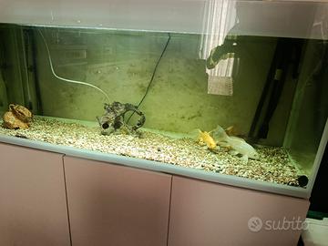 Acquario 400 litri