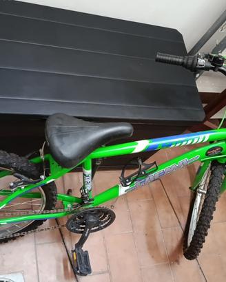 BICICLETTA 24" VERDE  ' COME NUOVA '