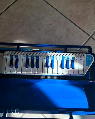 diamonica  della bontempi 