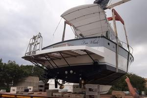 1987 Baia Pop corn motoscafo