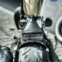 HARLEY DAVIDSON 1340, collezione, bobber, softail