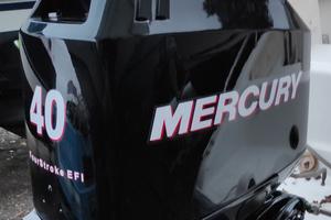 Ricambi Mercury 40 cv EFI 4 tempi