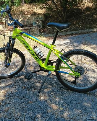Bici Montana bambino