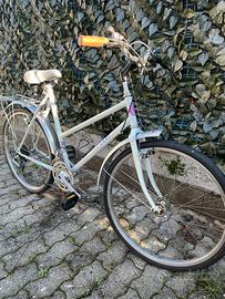 Bicicletta Donna 