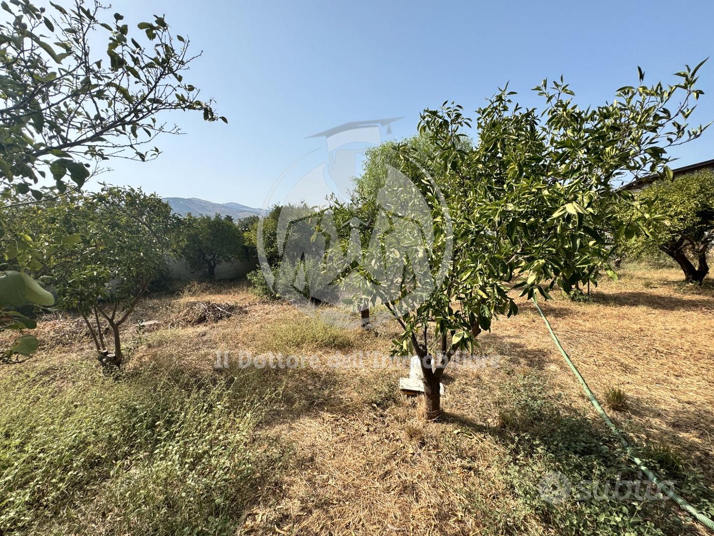 Terreno con rustico Zona Grande Migliore - Altro