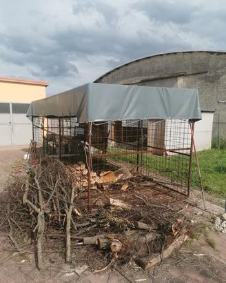 Porta legna in ferro e telone in pvc