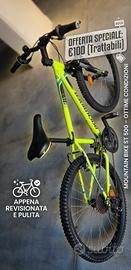 Vedo Bici