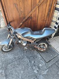 minimoto
