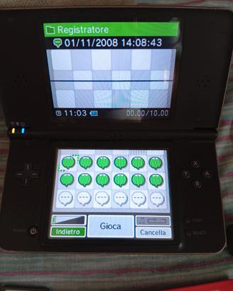 Nintendo DSi XL