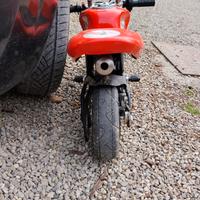 minimoto italiana grc polini