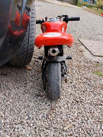 minimoto italiana grc polini