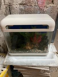Acquario