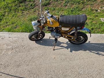benelli motorella, beta, piaggio boxer, 