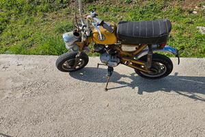benelli motorella, beta, piaggio boxer, 
