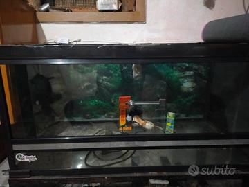 teca per rettili